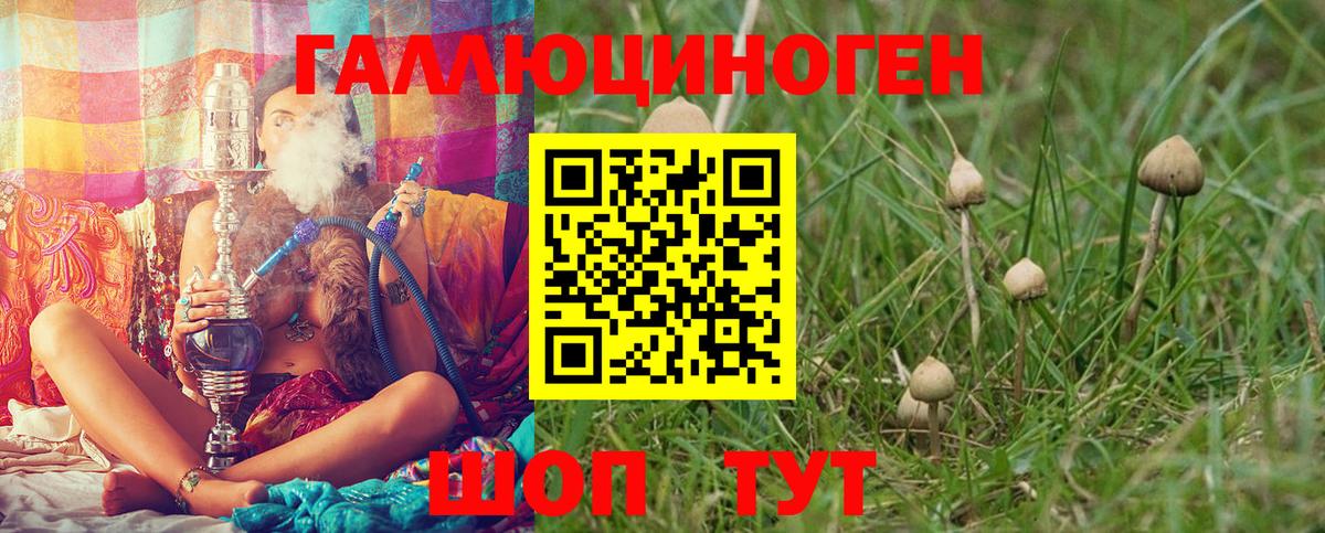 Псилоцибиновые грибы прущие грибы  Галлюциногенные грибы GOLDEN TEACHER  Вход с VPN  Артём 